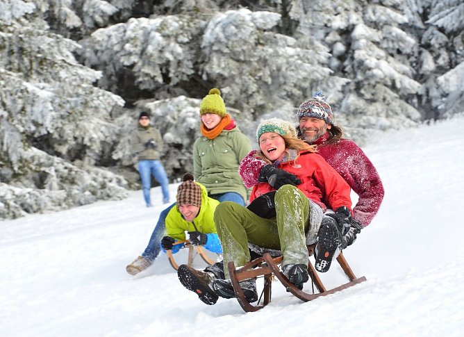 Schlittenfahrt (Foto: CHG Reim)