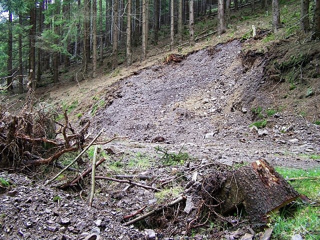 Hangrutsch (Foto: Thüringenforst) Hangrutsch (Foto: Thüringenforst)