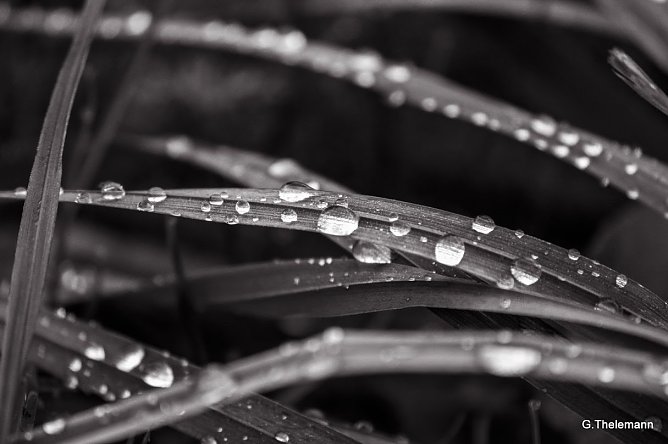 Wetterbild (Foto: Gernot Thelemann) Wetterbild (Foto: Gernot Thelemann)