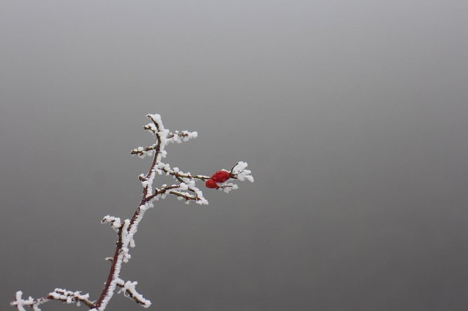 Der Winter k&ouml;nnte Anfang M&auml;rz noch einmal anklopfen (Foto: Angelo Glashagel)