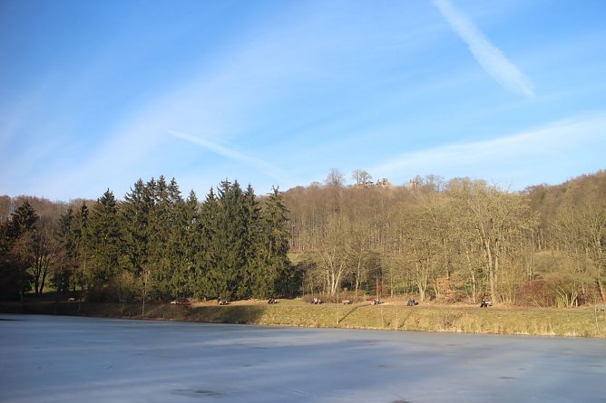 Ein Winter der keiner war, nicht so richtig jedenfalls - Lass uns &uuml;bers Wetter reden (Foto: Angelo Glashagel)