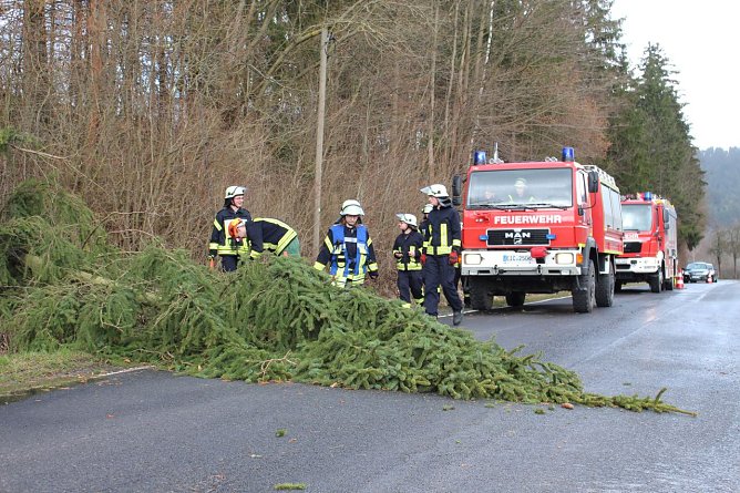 Sturmeinsatz (Foto: Feuerwehr Heiligenstadt) Sturmeinsatz (Foto: Feuerwehr Heiligenstadt)
