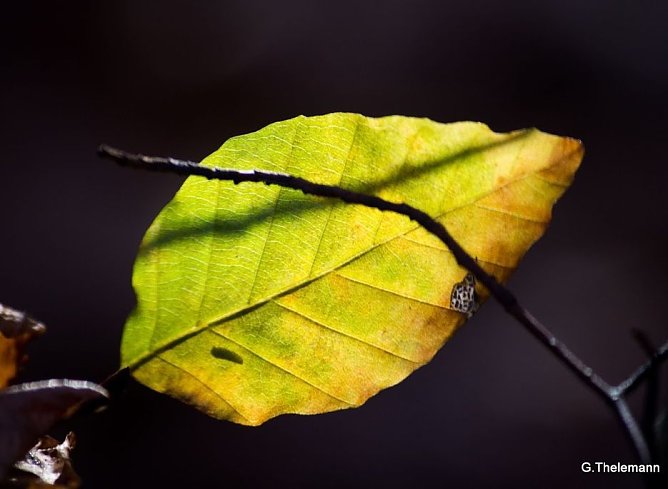 Wetter-Bild (Foto: Gernot Thelemann)