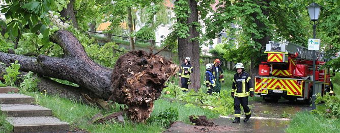 Feuerwehreinsatz (Foto: Feuerwehr Heiligenstadt)