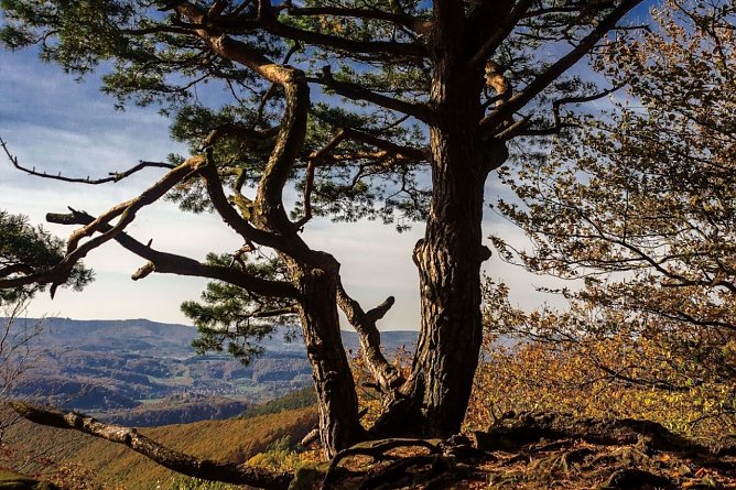 Wetter-Bild (Foto: Gernot Thelemann)