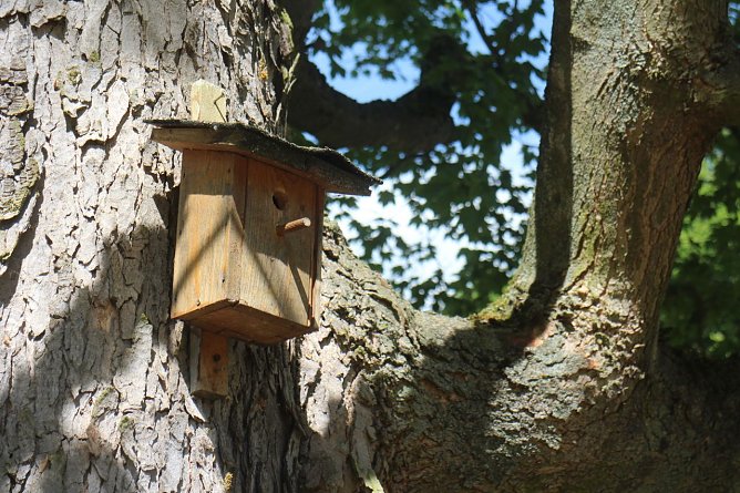 Wetterbild (Foto: Angelo Glashagel) Wetterbild (Foto: Angelo Glashagel)