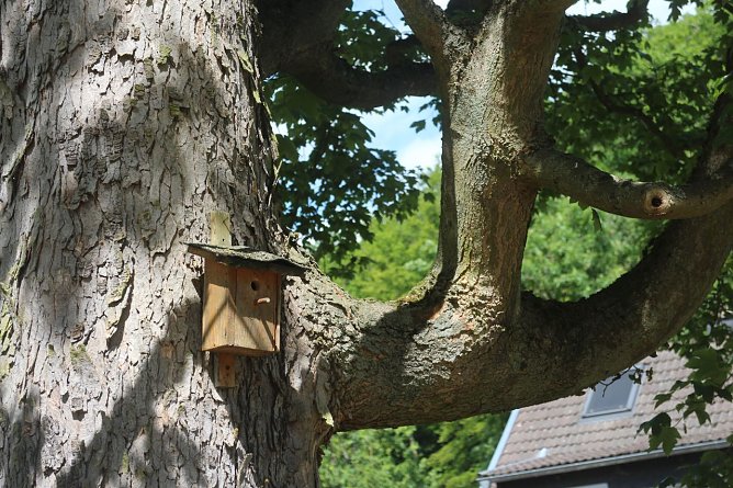 Wetterbild (Foto: Angelo Glashagel) Wetterbild (Foto: Angelo Glashagel)