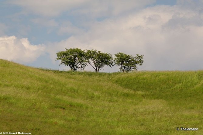 Wetterbild (Foto: Gernot Thelemann) Wetterbild (Foto: Gernot Thelemann)