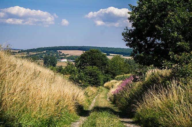Wetter-Bild (Foto: Gernot Thelemann) Wetter-Bild (Foto: Gernot Thelemann)