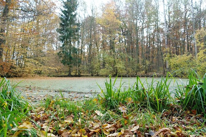 Wetterbild (Foto: Gernot Thelemann)