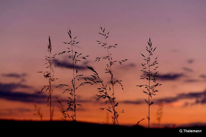 Wetter-Bild (Foto: Gernot Thelemann)