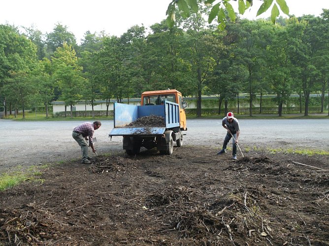 Holzber&auml;umung (Foto: Ilka K&uuml;hn)