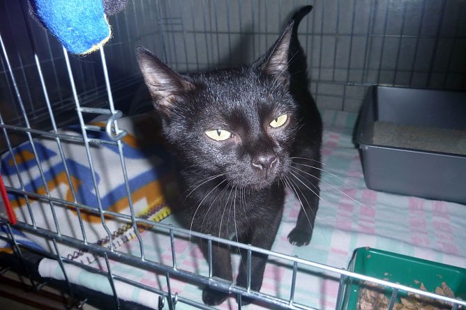 Schnecke (Foto: B. Hellrung)