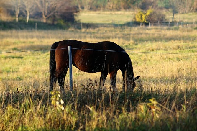 Wetterbild (Foto: Gernot Thelemann) Wetterbild (Foto: Gernot Thelemann)