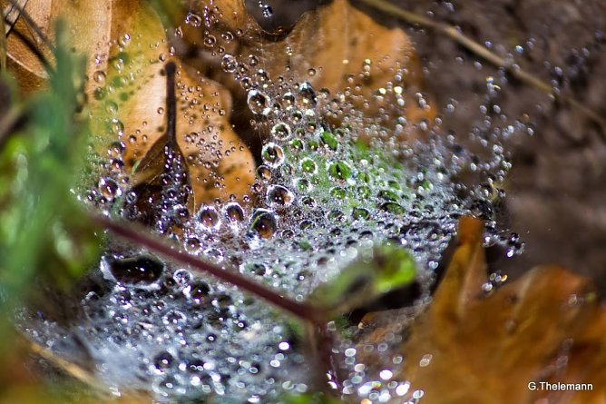 Wetter-Bild (Foto: Gernot Thelemann)