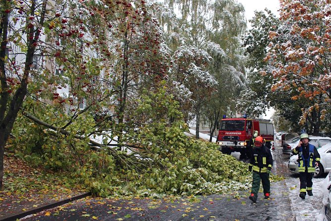 Baumaktion (Foto: Feuerwehr Heiligenstadt) Baumaktion (Foto: Feuerwehr Heiligenstadt)