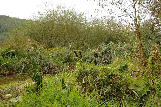 Wetter-Bild (Foto: Gernot Thelemann)