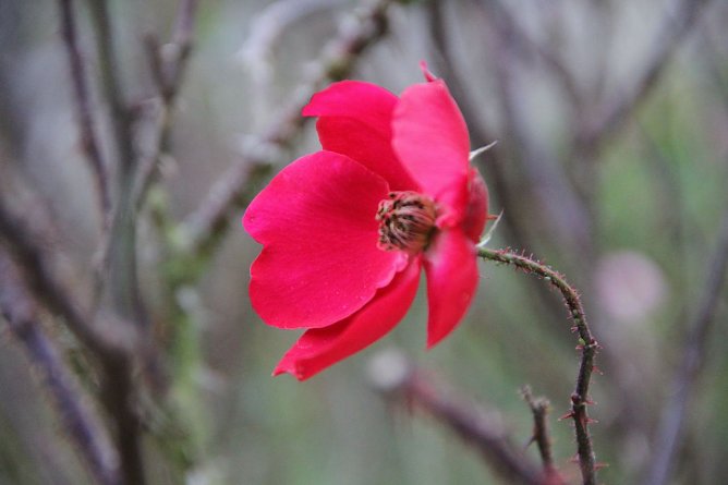 Wetterbild (Foto: Angelo Glashagel) Wetterbild (Foto: Angelo Glashagel)