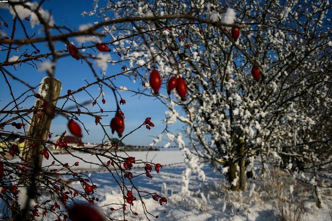 Wetterbild (Foto: Gernot Thelemann) Wetterbild (Foto: Gernot Thelemann)