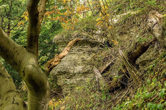 Felswand der Hasenburg (Foto: Gernot Thelemann)