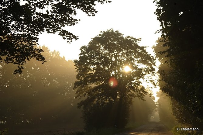 Wetter-Bild (Foto: Gernot Thelemann)