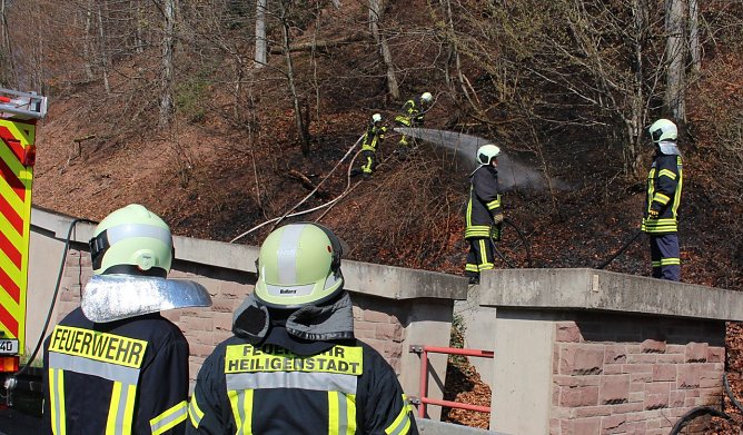 Waldbrand bek&auml;mpft (Foto: Feuerwehr Heiligenstadt)