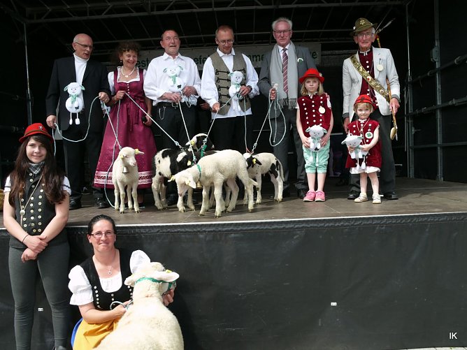 Fest der L&auml;mmerschw&auml;nze (Foto: Ilka K&uuml;hn)