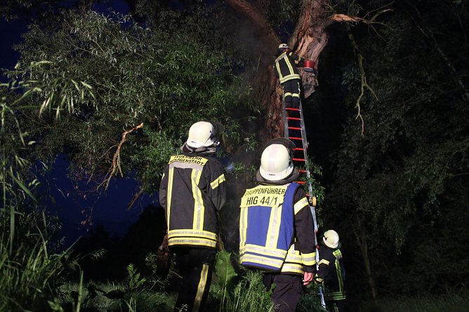 Waschb&auml;renrettung (Foto: Feuerwehr Heiligenstadt)