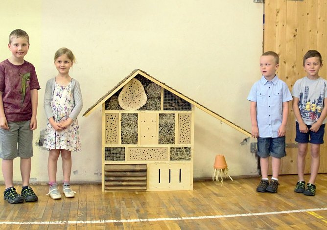 Insektenhotel (Foto: privat)