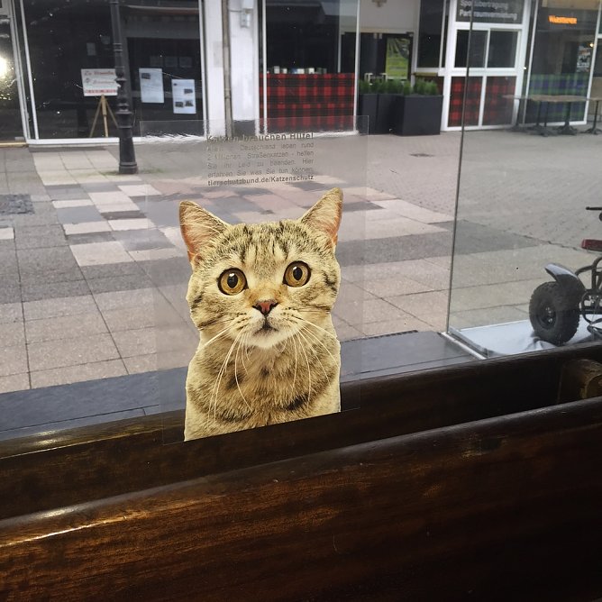 Aufkleber (Foto: Tierschutzbund)