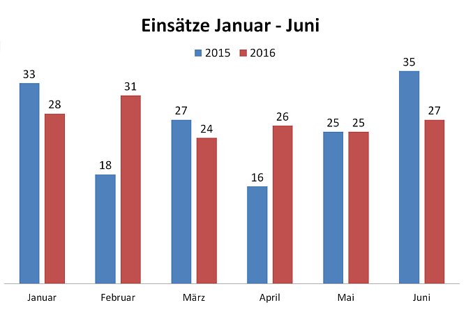 Statistik (Foto: Feuerwehr Heiligenstadt)