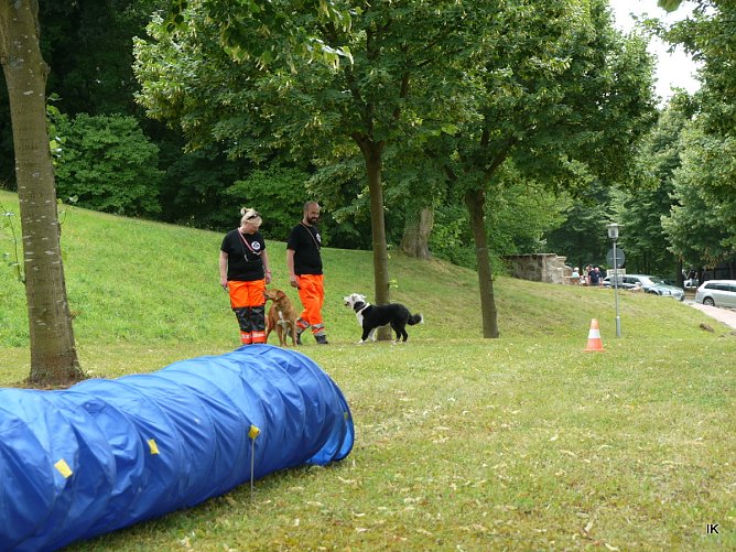 Hundestaffel (Foto: Ilka K&uuml;hn)