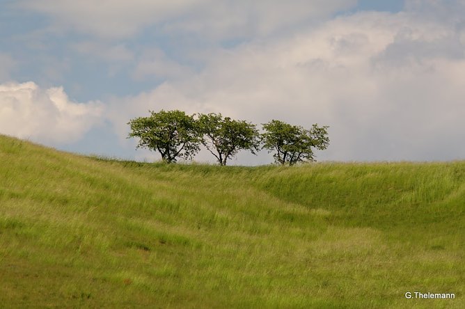 Wetter-Bild (Foto: Gernot Thelemann)