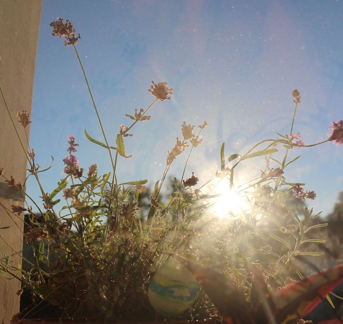 Wetterbild (Foto: Angelo Glashagel)