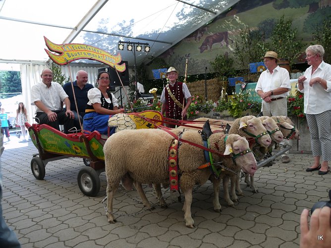 Quadriga (Foto: Ilka K&uuml;hn)