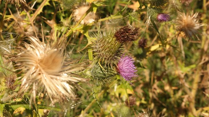 Wetterbild (Foto: Angelo Glashagel) Wetterbild (Foto: Angelo Glashagel)