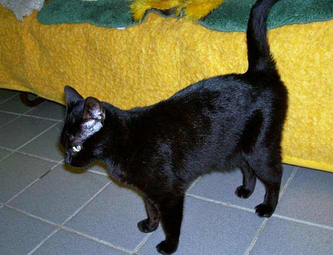 Anabell (Foto: nnz)