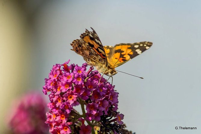 Wetter-Bild (Foto: Gernot Thelemann)