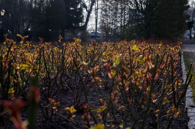 Wetter-Bild (Foto: Gernot Thelemann)
