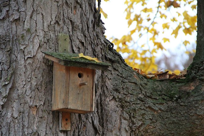 Wetterbild (Foto: Angelo Glashagel)