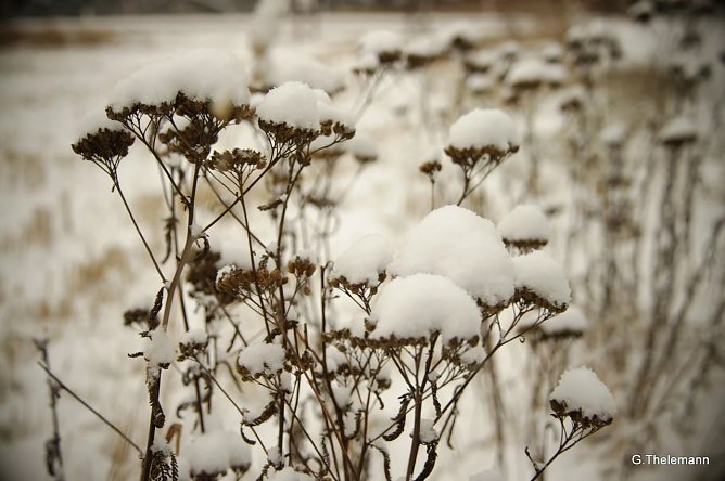 Wetter-Bild (Foto: Gernot Thelemann)