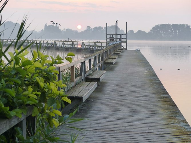 Seeburger See (Foto: Tina Klingebiel) Seeburger See (Foto: Tina Klingebiel)