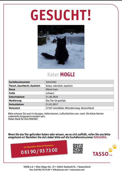 Suchplakat (Foto: Privat) Suchplakat (Foto: Privat)