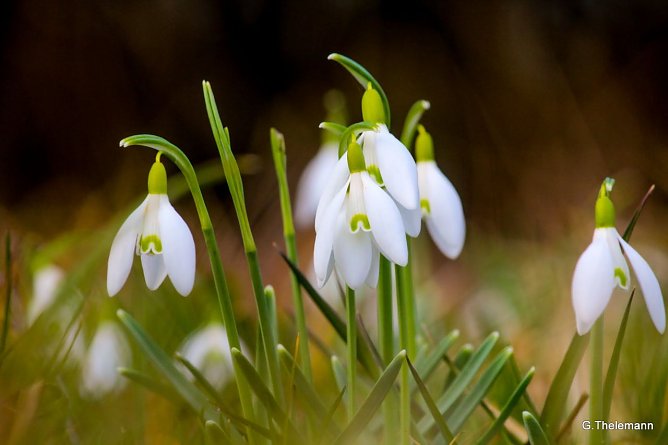 Wetterbild (Foto: Gernot Thelemann)