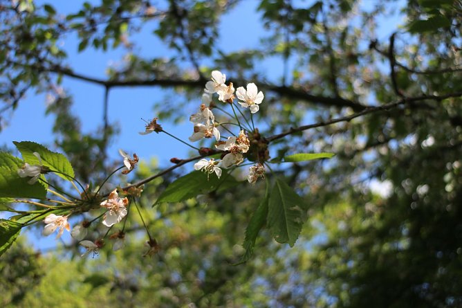 Wetterbild (Foto: Angelo Glashagel) Wetterbild (Foto: Angelo Glashagel)