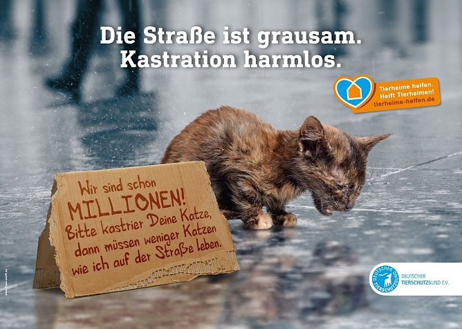 Kampagne (Foto: Tierschutzbund) Kampagne (Foto: Tierschutzbund)