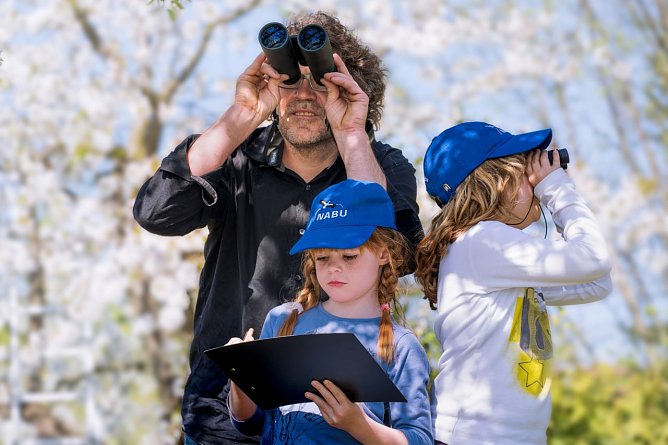 Der NABU Th&uuml;ringen l&auml;dt zur "Stunde der Gartenv&ouml;gel" (Foto: NABU S. Hennings)