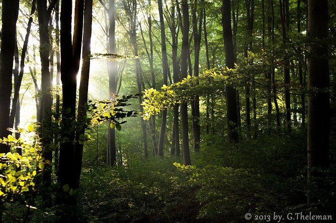Wetter-Bild (Foto: Gernot Thelemann)