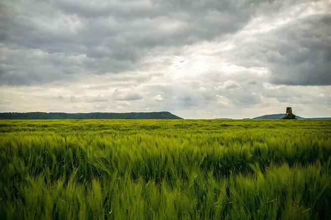 Wetterbild (Foto: Gernot Thelemann) Wetterbild (Foto: Gernot Thelemann)