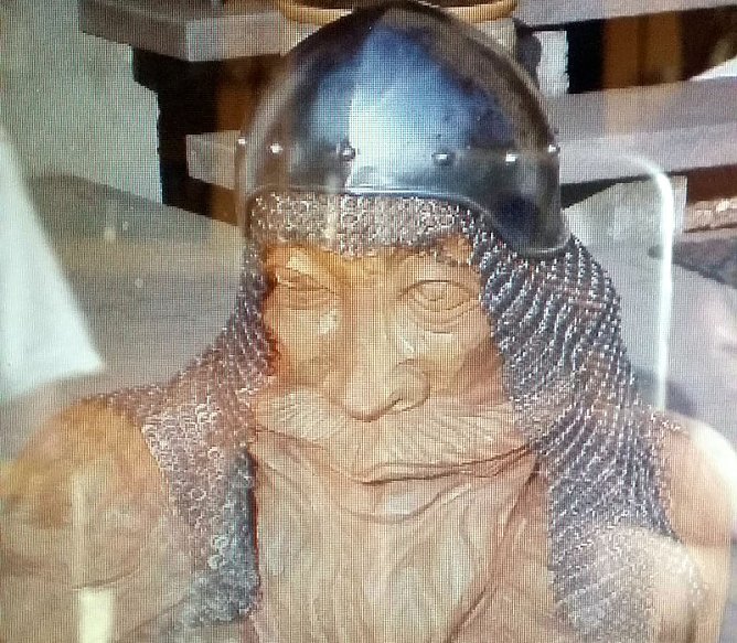 So sah die Kettenhaube aus (Foto: Privat) So sah die Kettenhaube aus (Foto: Privat)